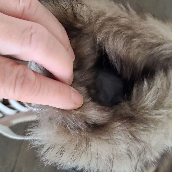 rag & bone Shiloh Leaather Combat Boots with Fur trim Size 8.5 / EU 38.5 NEW - Picture 8 of 11